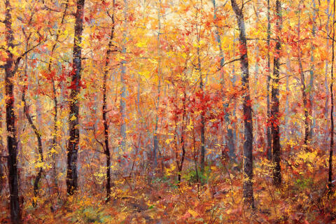 Autumns Embrace 24x36 $5600